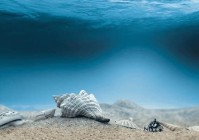 三台有哪些旅游景点，三台有哪些旅游景点好玩